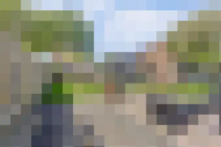 Grote Abeele 48 Oost-Souburg thumbnail 38