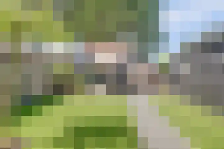 Grote Abeele 48 Oost-Souburg thumbnail 40