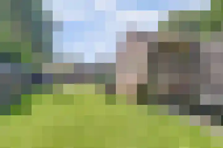 Grote Abeele 48 Oost-Souburg thumbnail 42