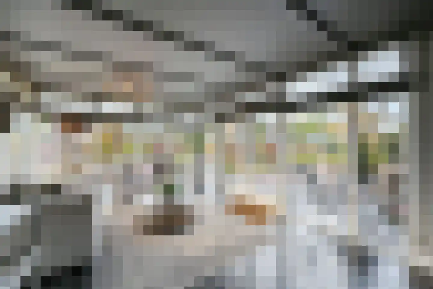 Grote Achterweg 19 Naaldwijk thumbnail 11