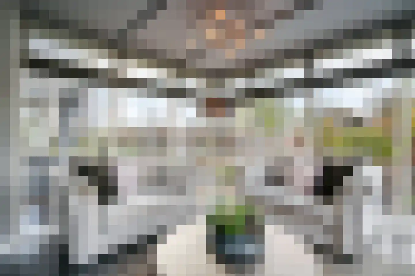 Grote Achterweg 19 Naaldwijk thumbnail 12