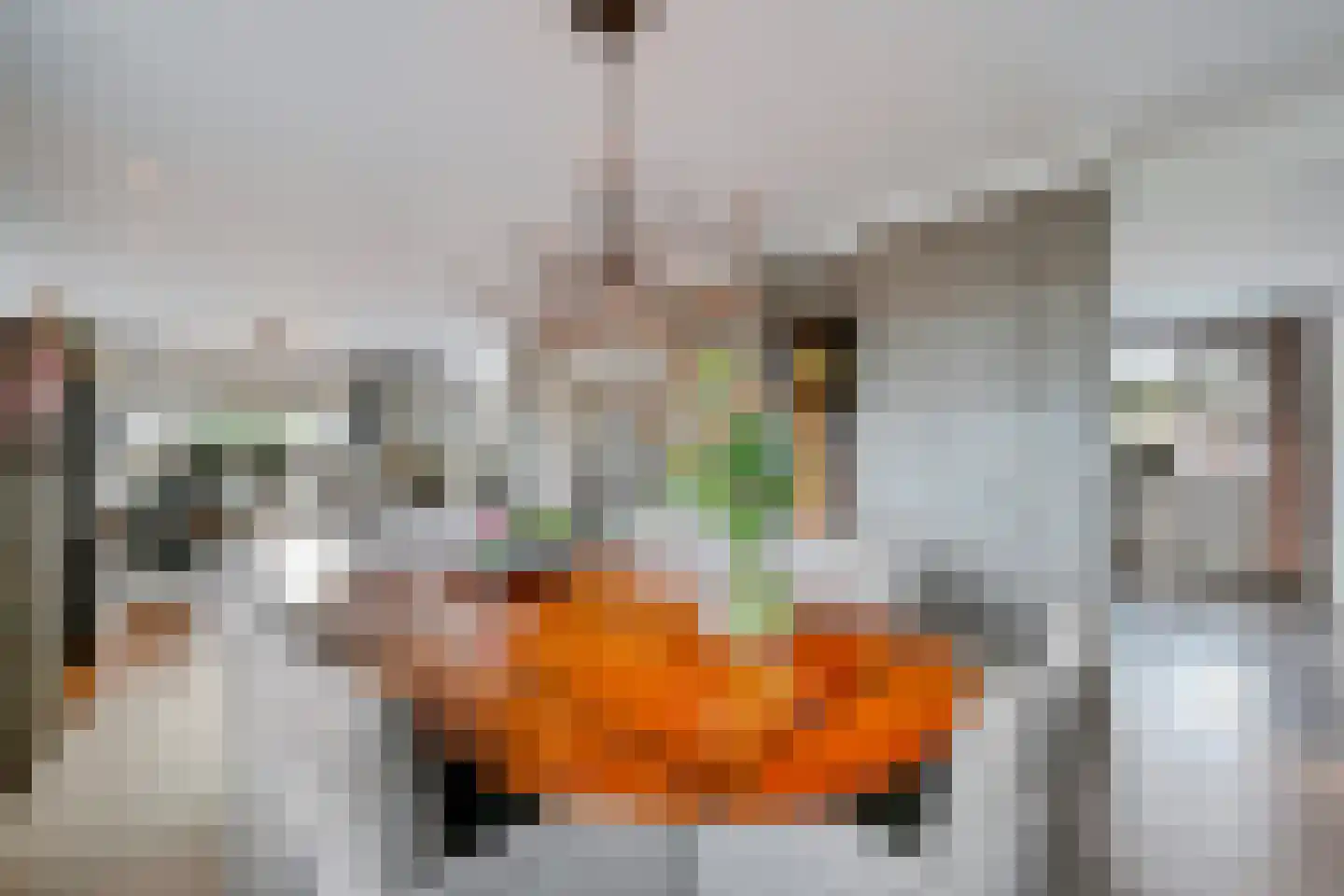 Grote Achterweg 19 Naaldwijk thumbnail 17