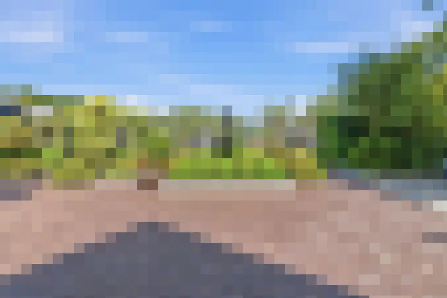 Grote Achterweg 19 Naaldwijk thumbnail 18