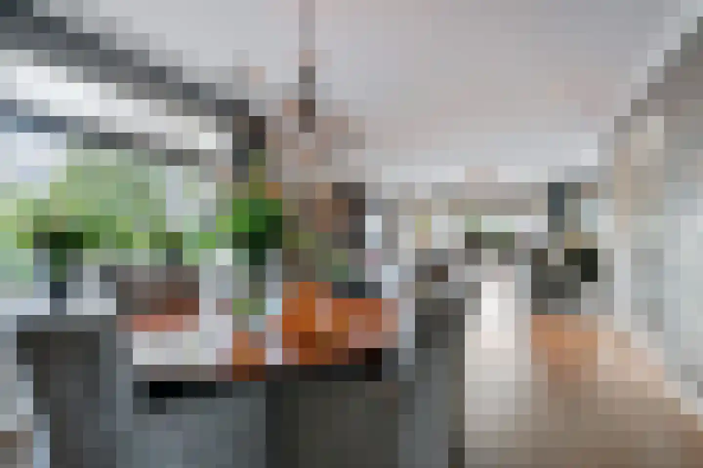Grote Achterweg 19 Naaldwijk thumbnail 18