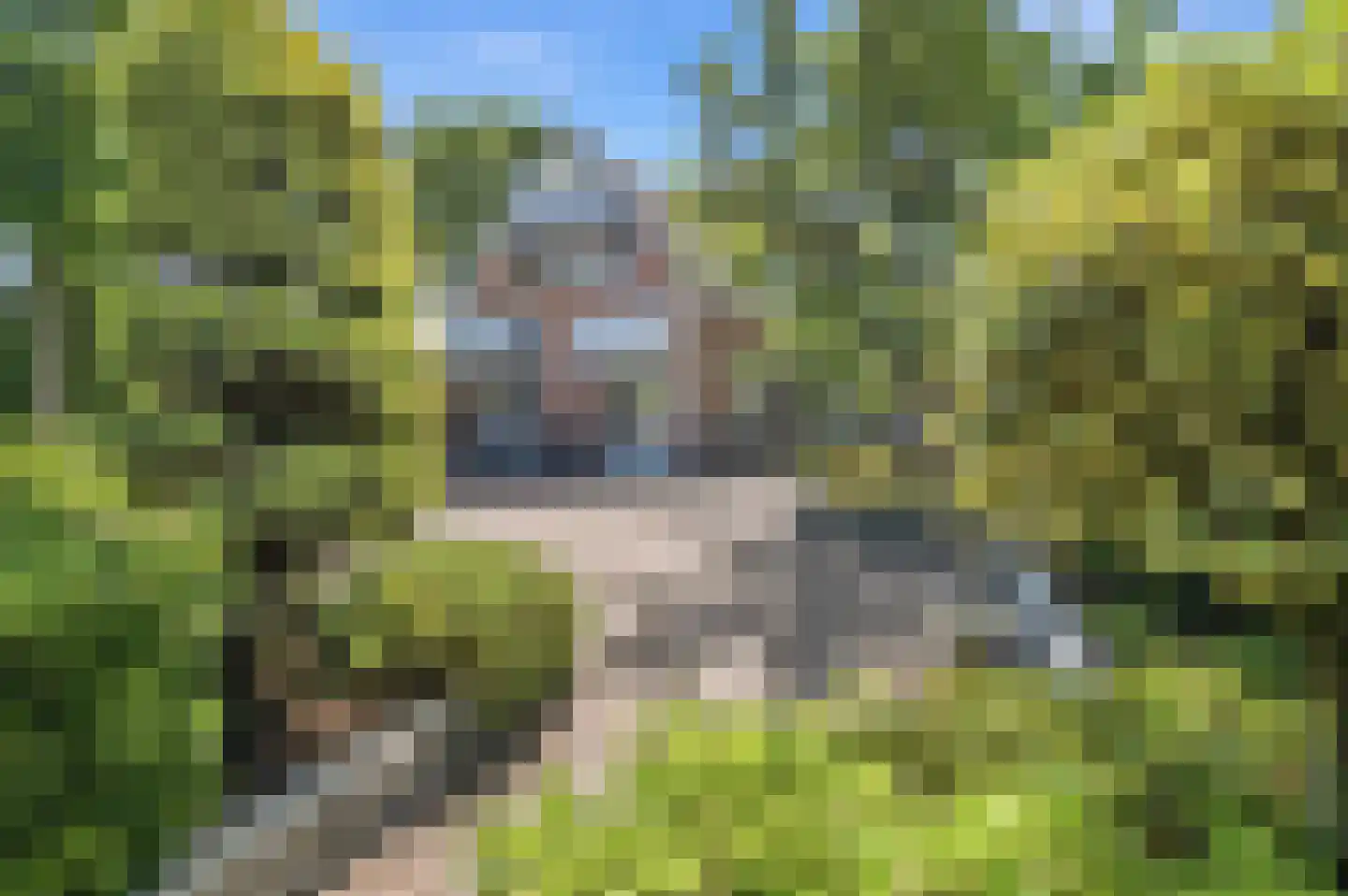 Grote Achterweg 19 Naaldwijk thumbnail 19