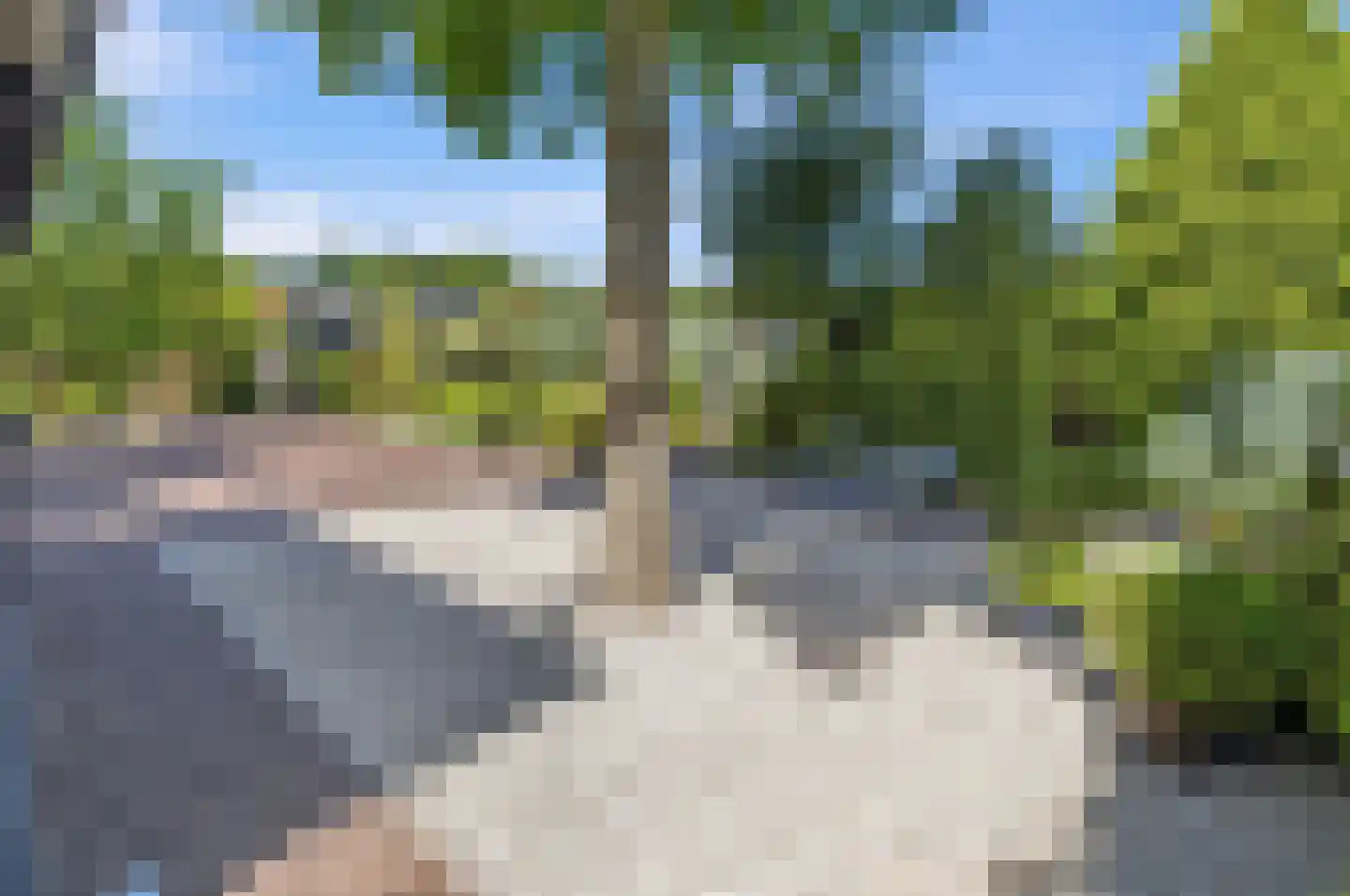 Grote Achterweg 19 Naaldwijk thumbnail 20