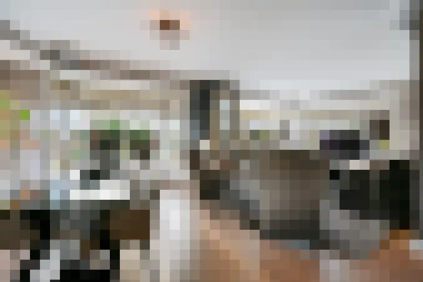 Grote Achterweg 19 Naaldwijk thumbnail 21