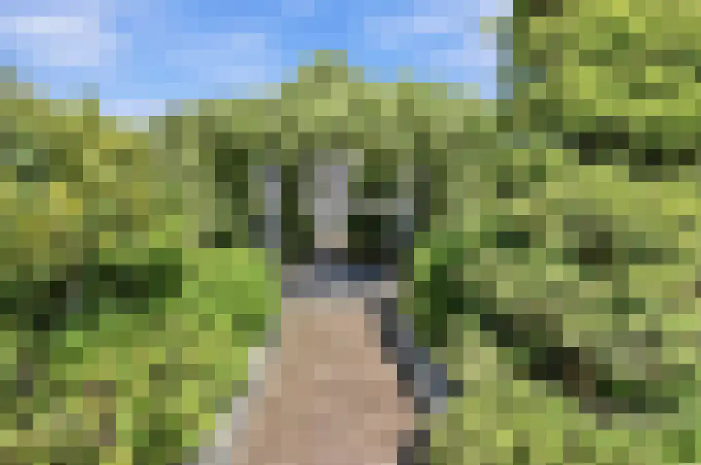 Grote Achterweg 19 Naaldwijk thumbnail 22