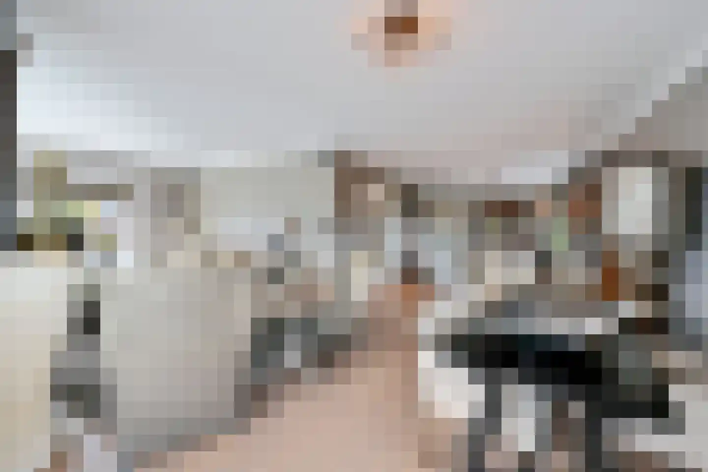 Grote Achterweg 19 Naaldwijk thumbnail 22