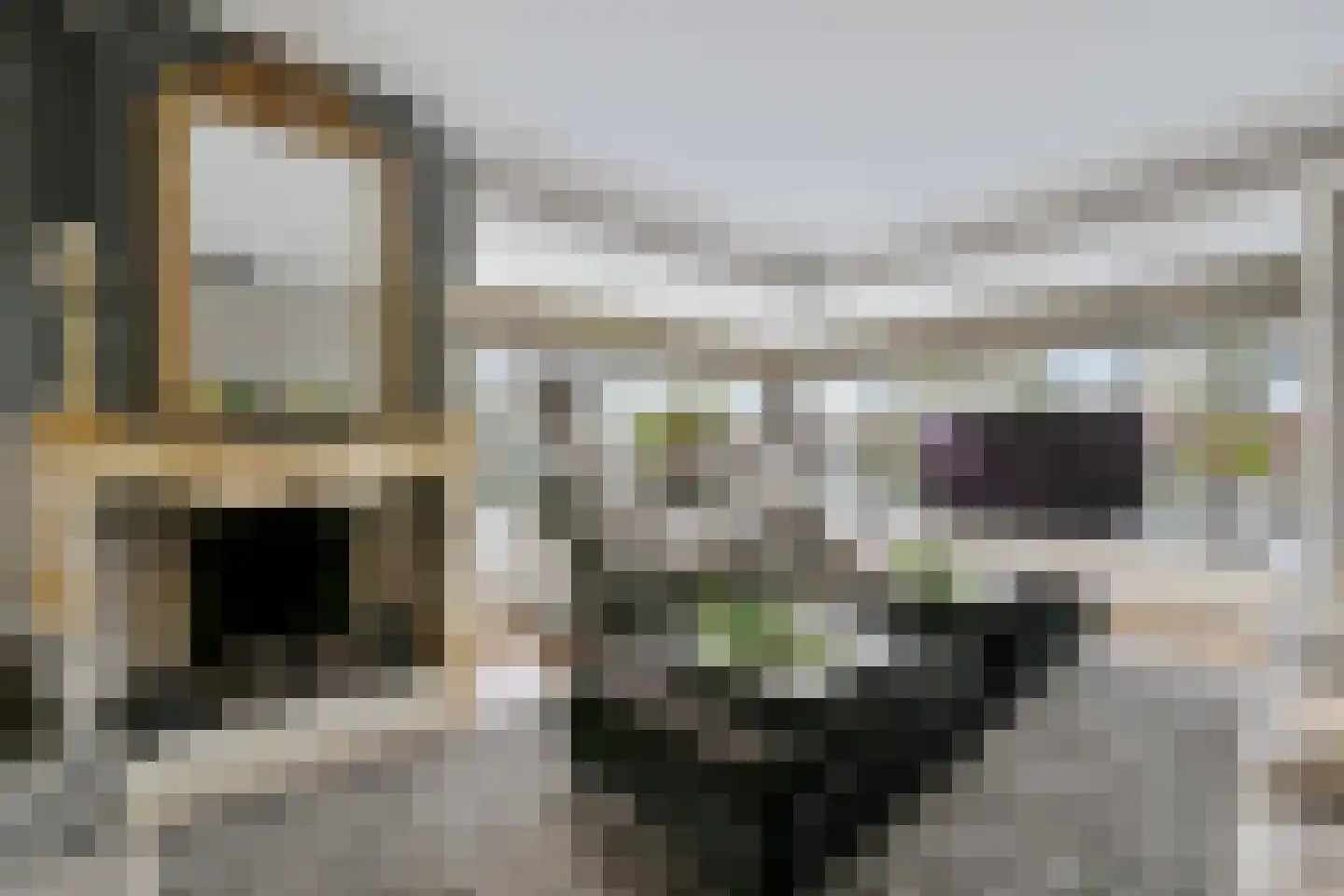 Grote Achterweg 19 Naaldwijk thumbnail 23