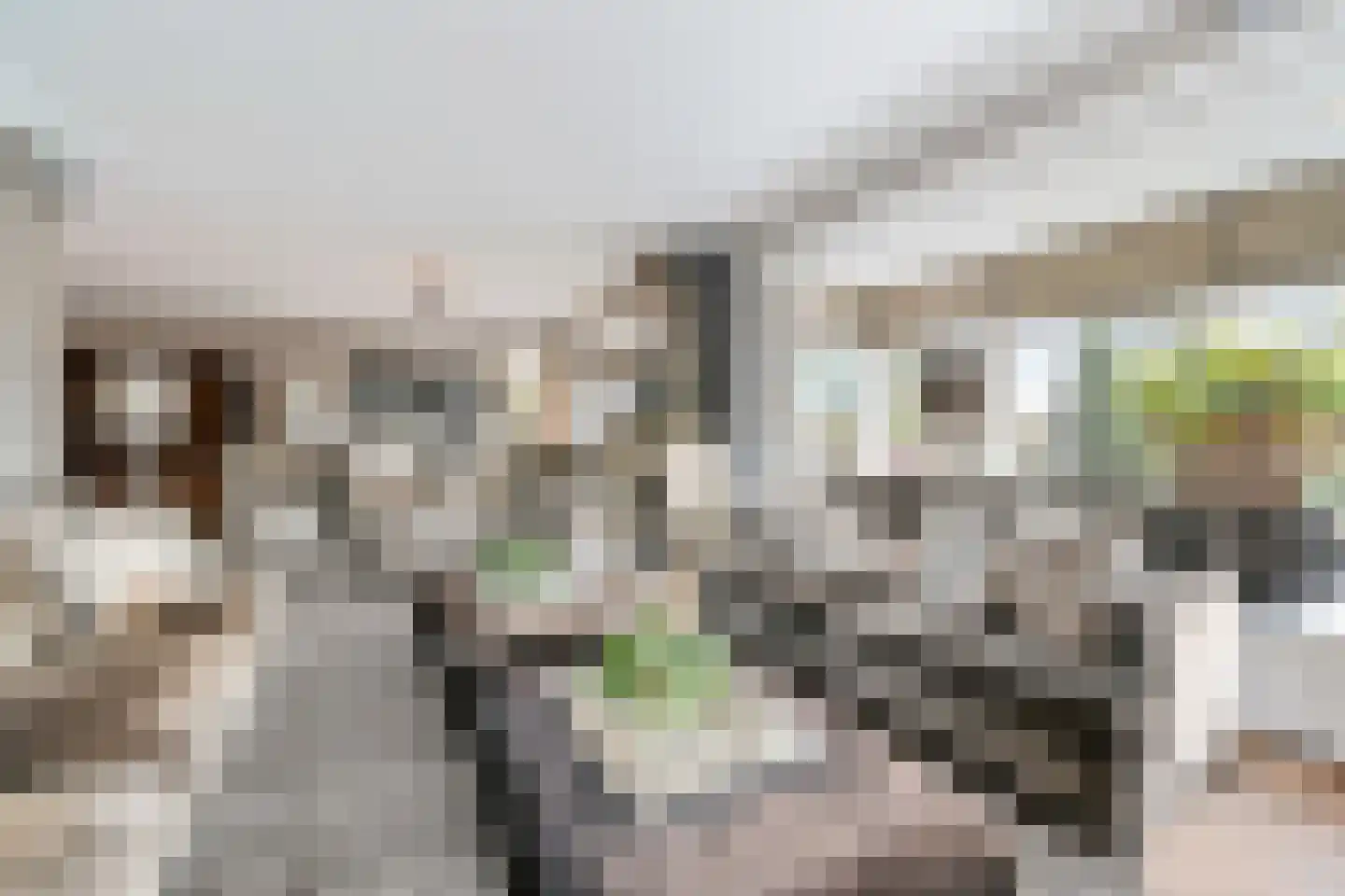 Grote Achterweg 19 Naaldwijk thumbnail 24