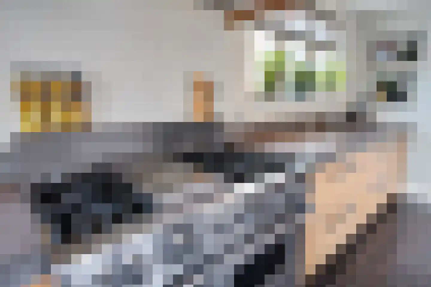 Grote Achterweg 19 Naaldwijk thumbnail 28