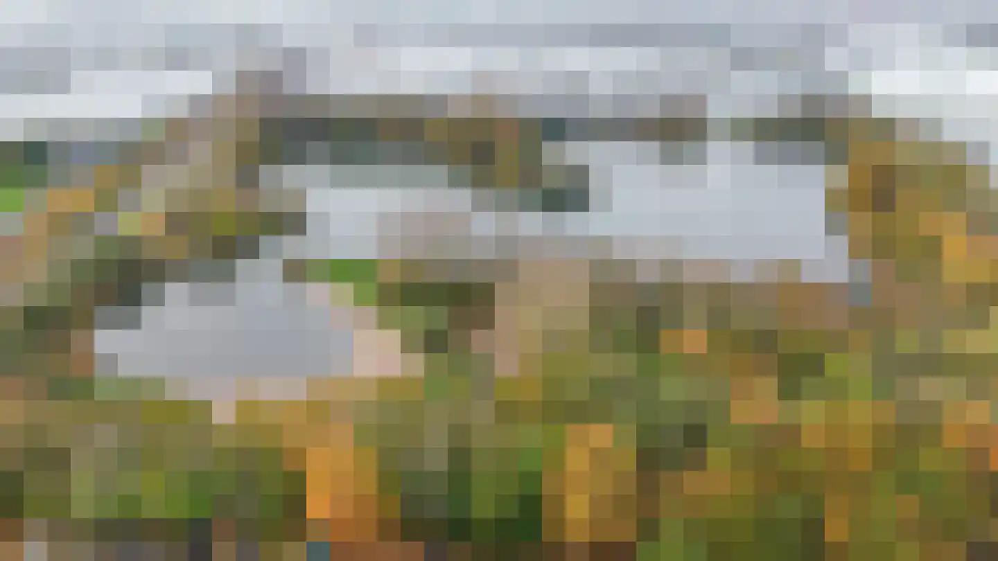 Grote Achterweg 19 Naaldwijk thumbnail 29
