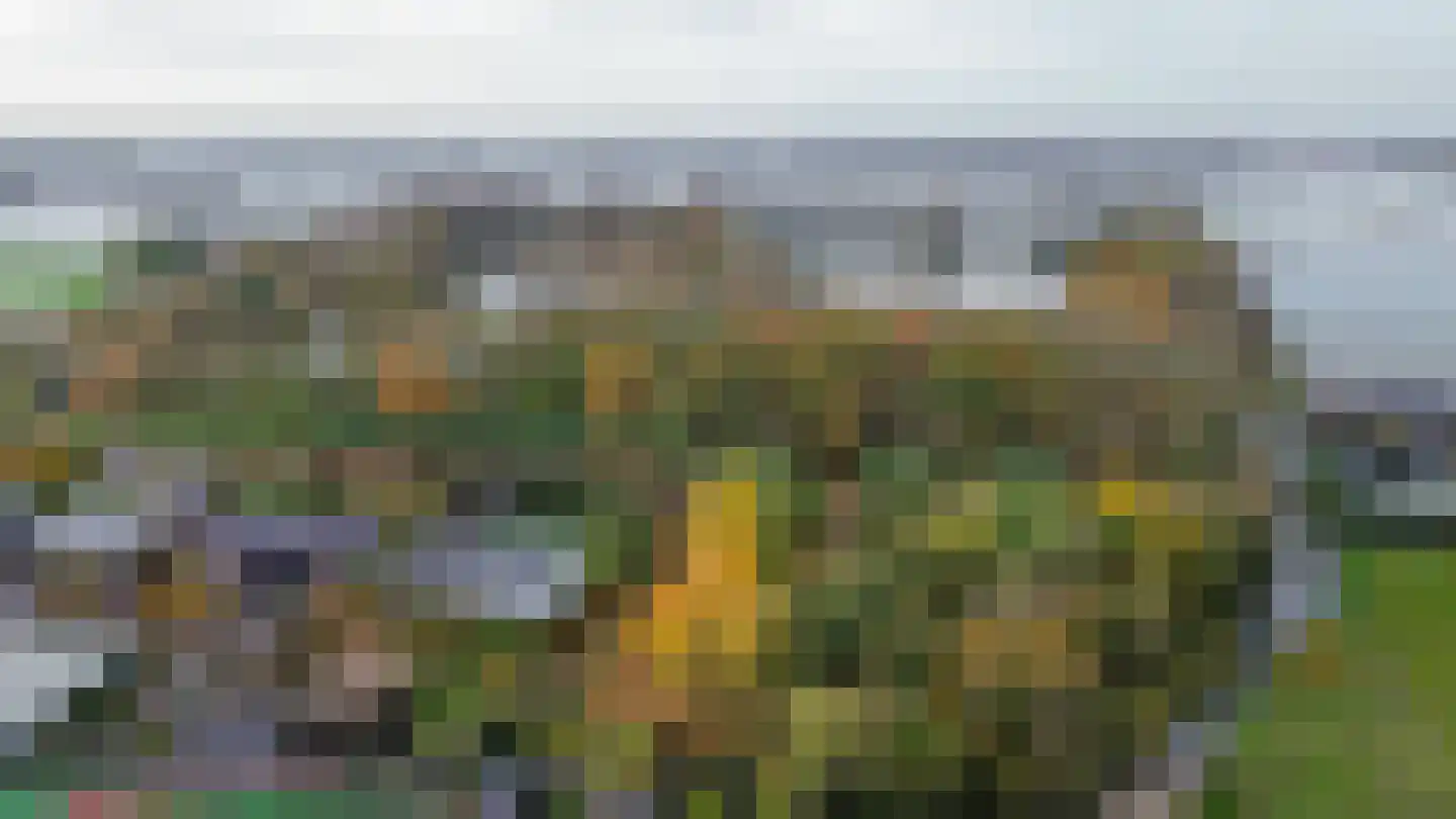 Grote Achterweg 19 Naaldwijk thumbnail 30