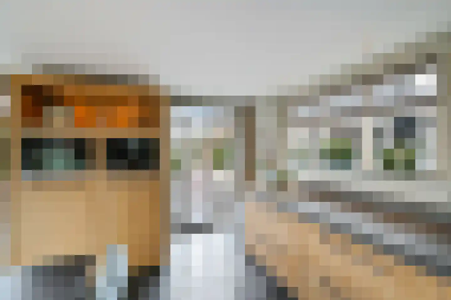 Grote Achterweg 19 Naaldwijk thumbnail 31