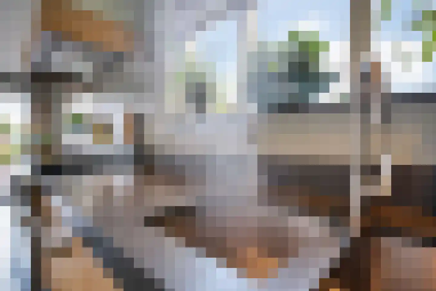 Grote Achterweg 19 Naaldwijk thumbnail 32