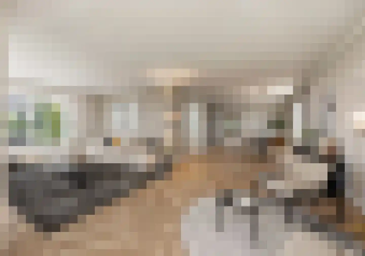 Grote Achterweg 19 Naaldwijk thumbnail 33