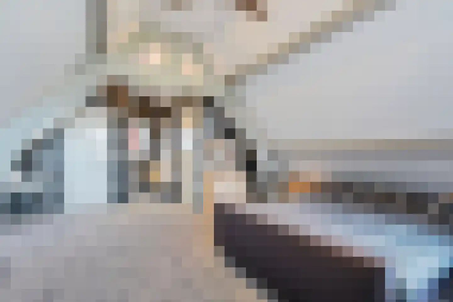 Grote Achterweg 19 Naaldwijk thumbnail 34