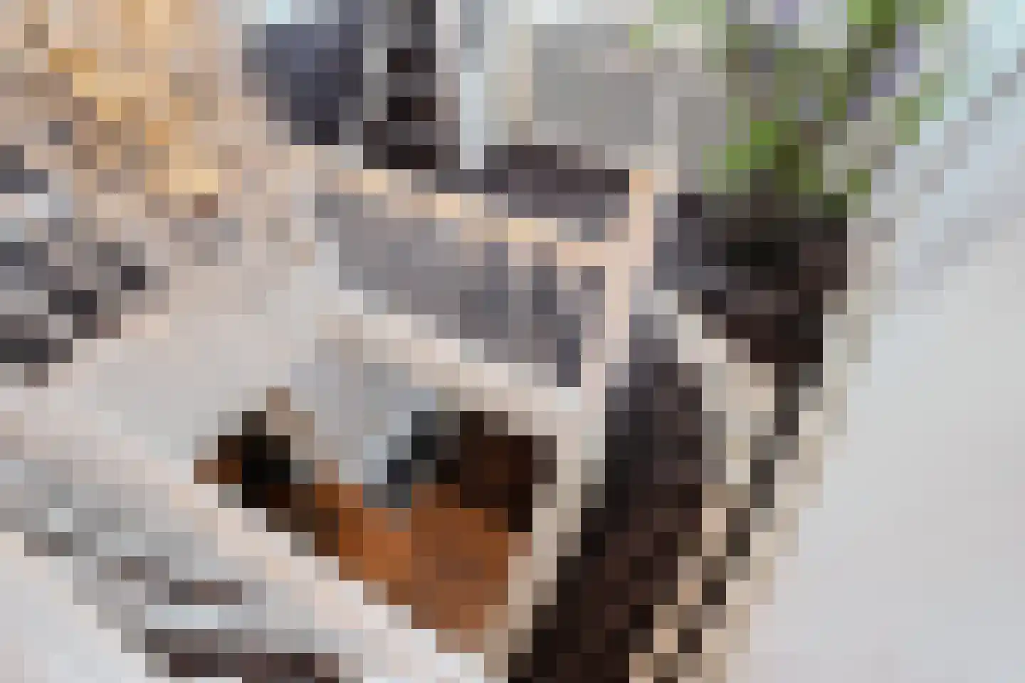 Grote Achterweg 19 Naaldwijk thumbnail 39
