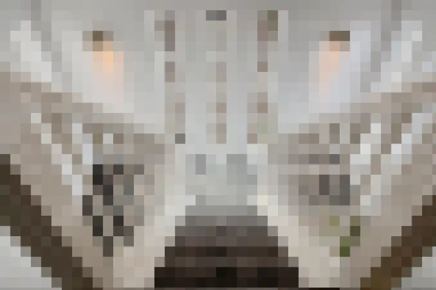 Grote Achterweg 19 Naaldwijk thumbnail 40