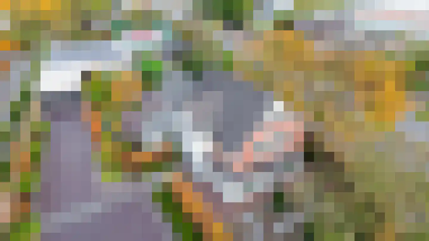 Grote Achterweg 19 Naaldwijk thumbnail 5