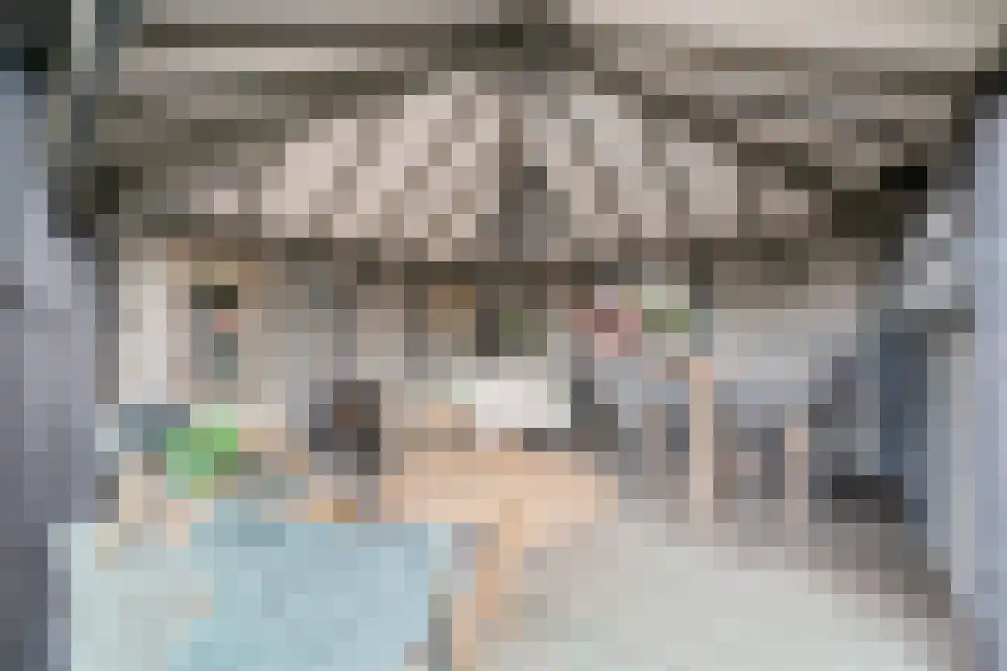 Grote Achterweg 19 Naaldwijk thumbnail 57