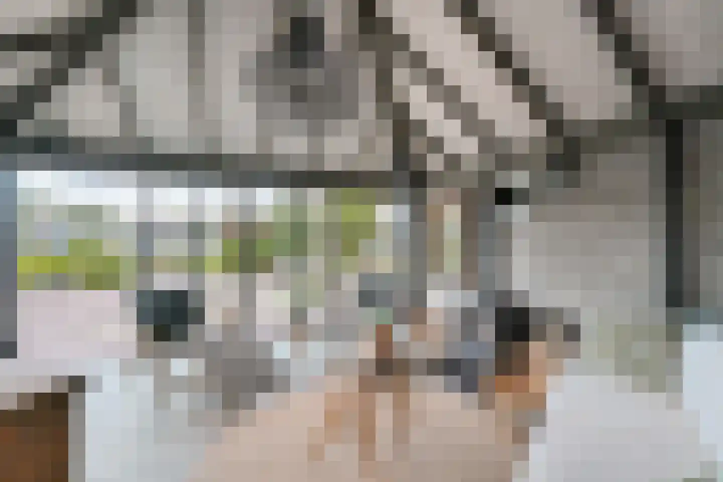 Grote Achterweg 19 Naaldwijk thumbnail 59