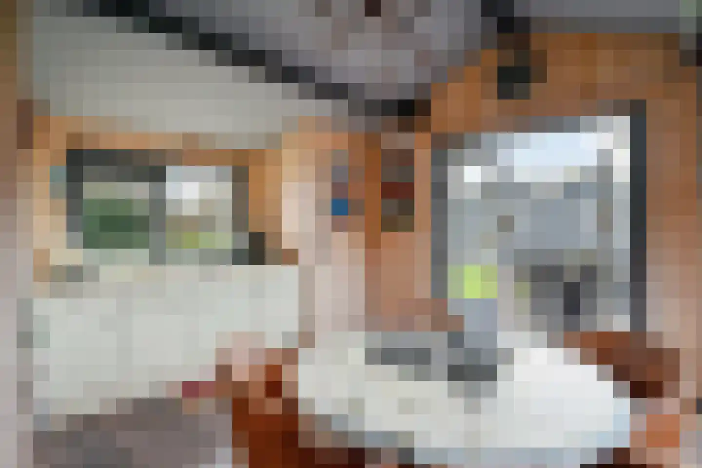 Grote Achterweg 19 Naaldwijk thumbnail 61