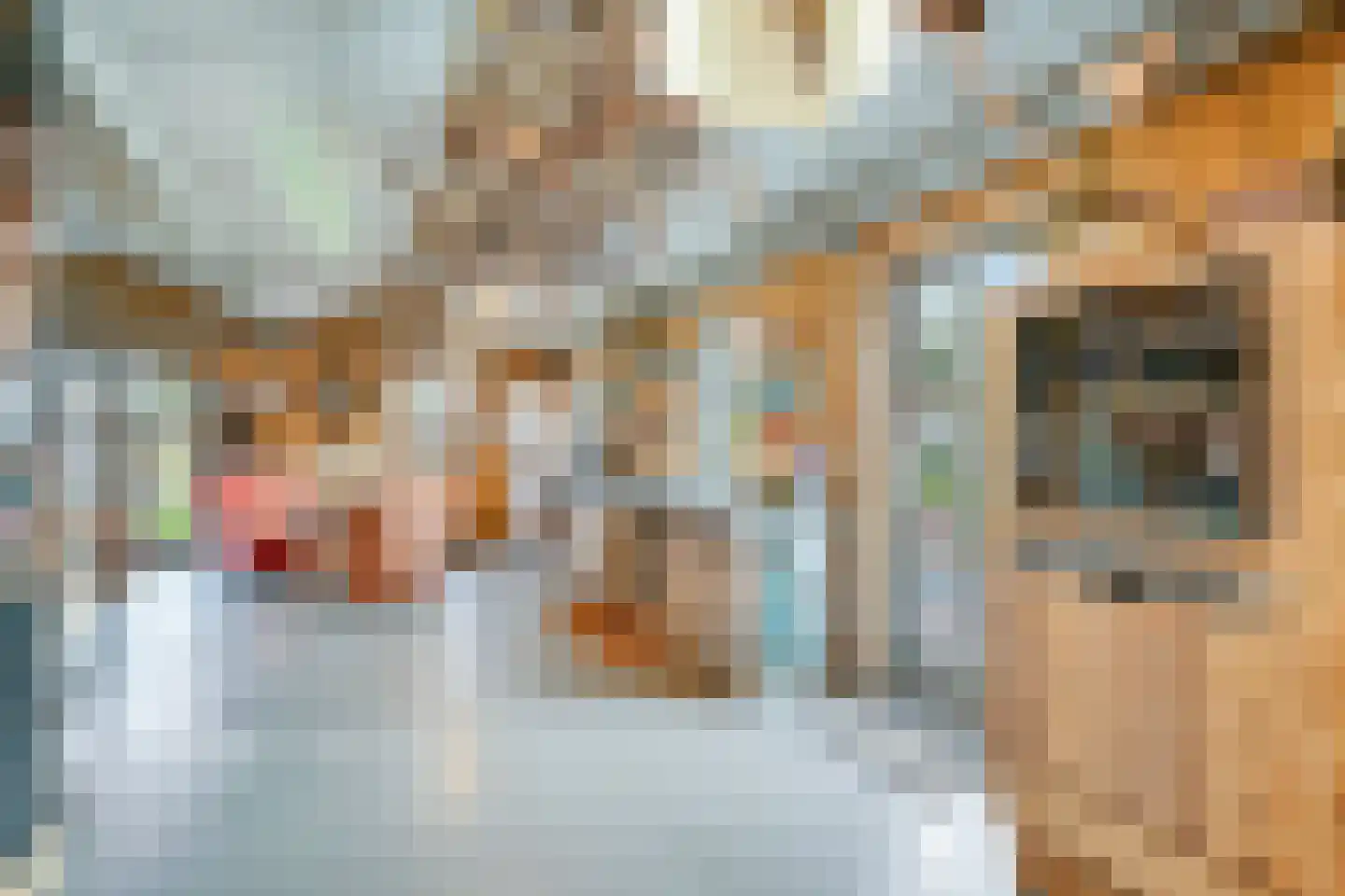 Grote Achterweg 19 Naaldwijk thumbnail 64