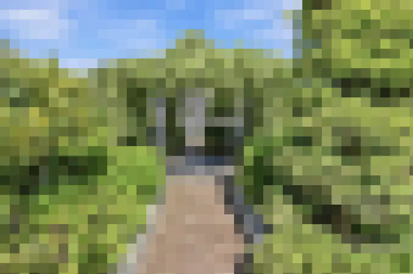 Grote Achterweg 19 Naaldwijk thumbnail 78