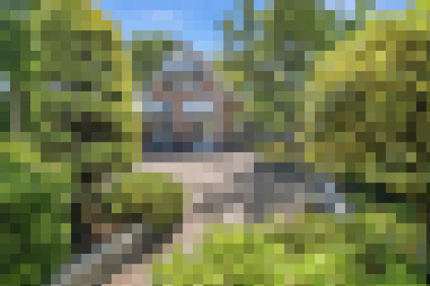 Grote Achterweg 19 Naaldwijk thumbnail 79