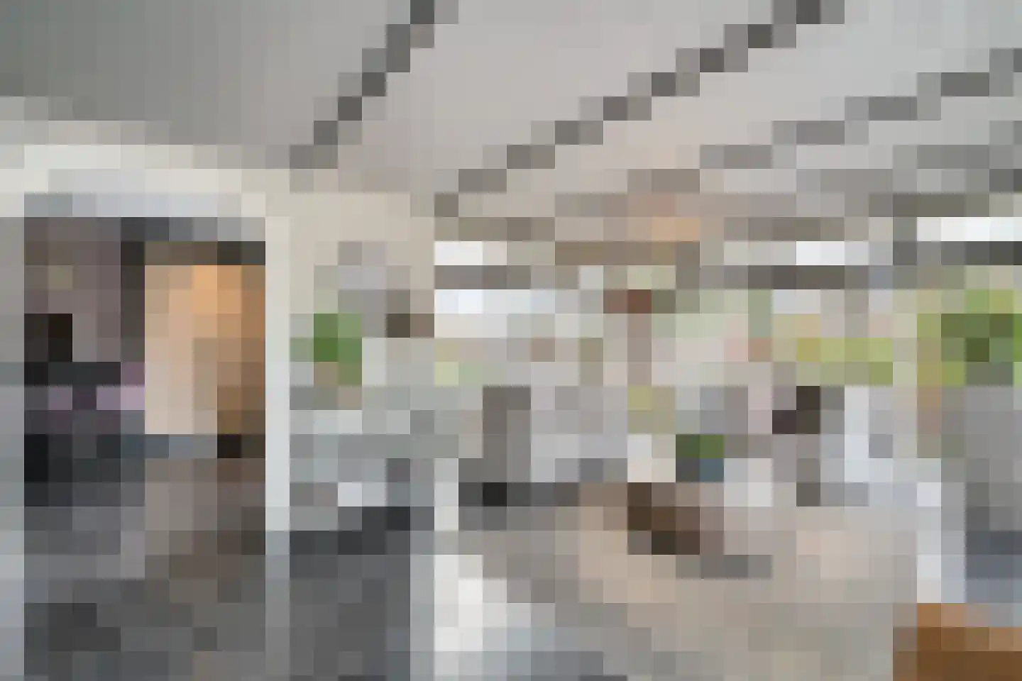 Grote Achterweg 19 Naaldwijk thumbnail 8