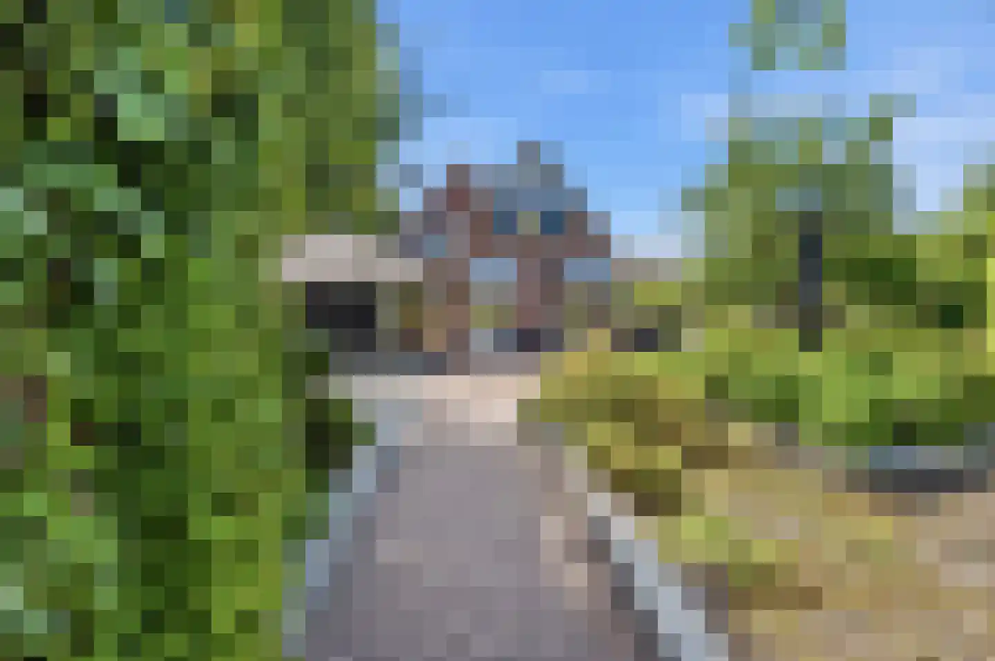 Grote Achterweg 19 Naaldwijk thumbnail 86