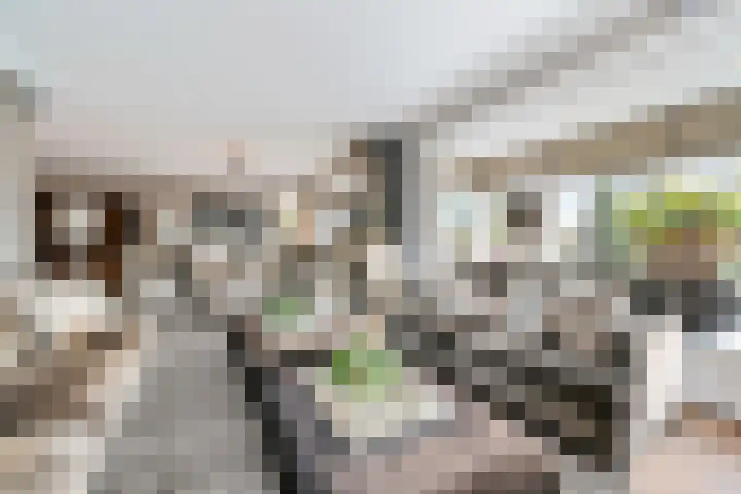 Grote Achterweg 19 Naaldwijk thumbnail 9