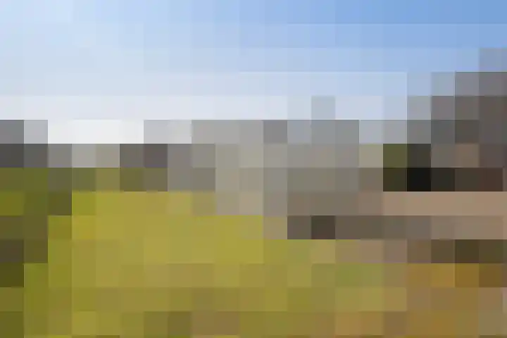 Grote Achterweg 8 B Naaldwijk thumbnail 14