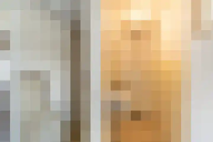 Grote Achterweg 8 B Naaldwijk thumbnail 20