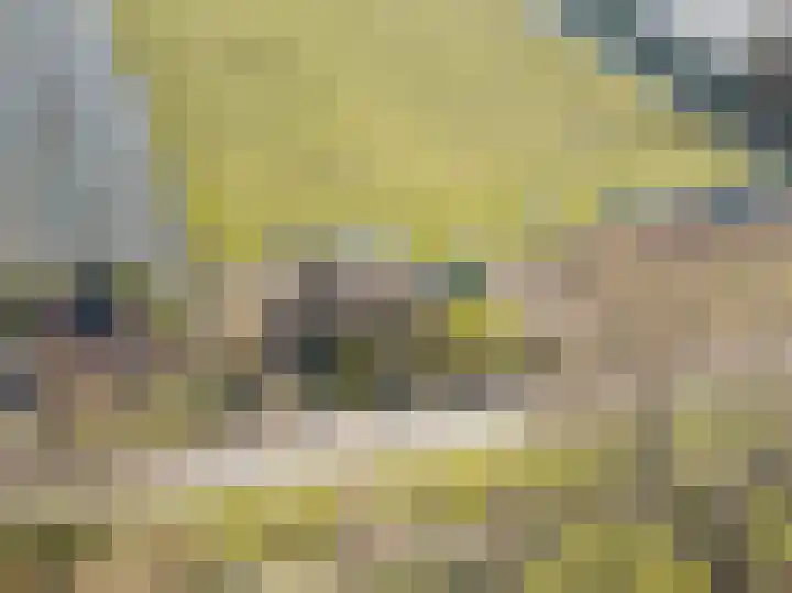 Grote Achterweg 8 B Naaldwijk thumbnail 27