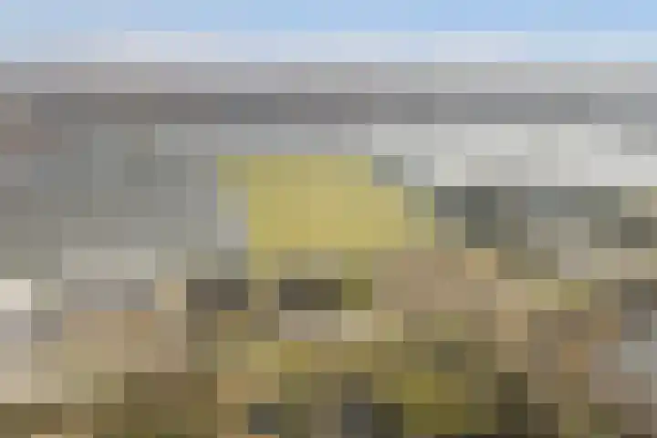 Grote Achterweg 8 B Naaldwijk thumbnail 28