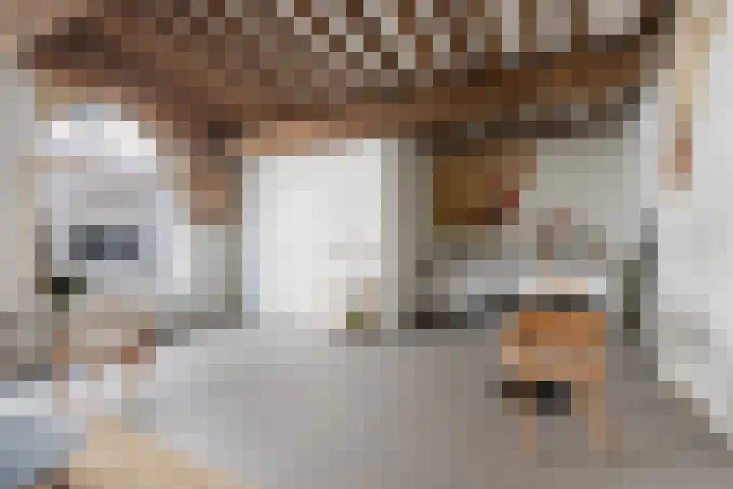 Grote Appelsteiger 2 Dordrecht thumbnail 13
