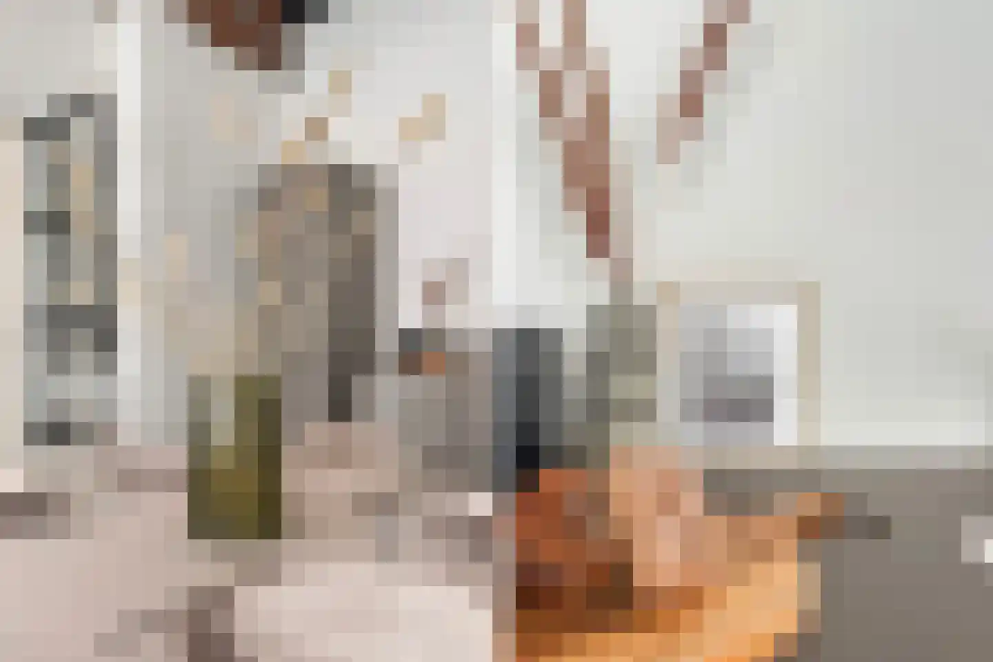 Grote Appelsteiger 2 Dordrecht thumbnail 27