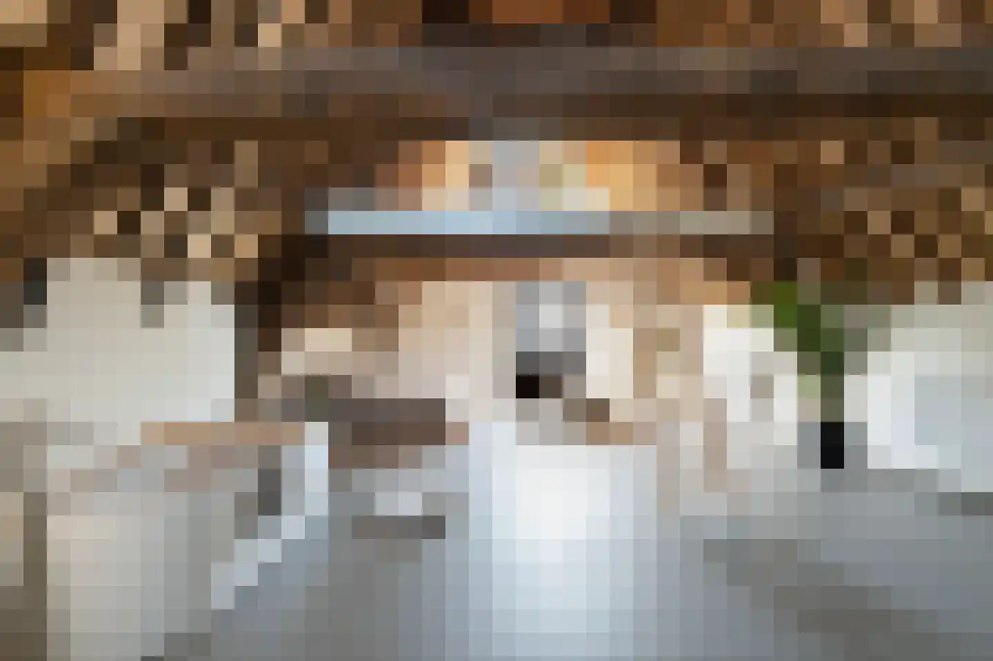 Grote Appelsteiger 2 Dordrecht thumbnail 35
