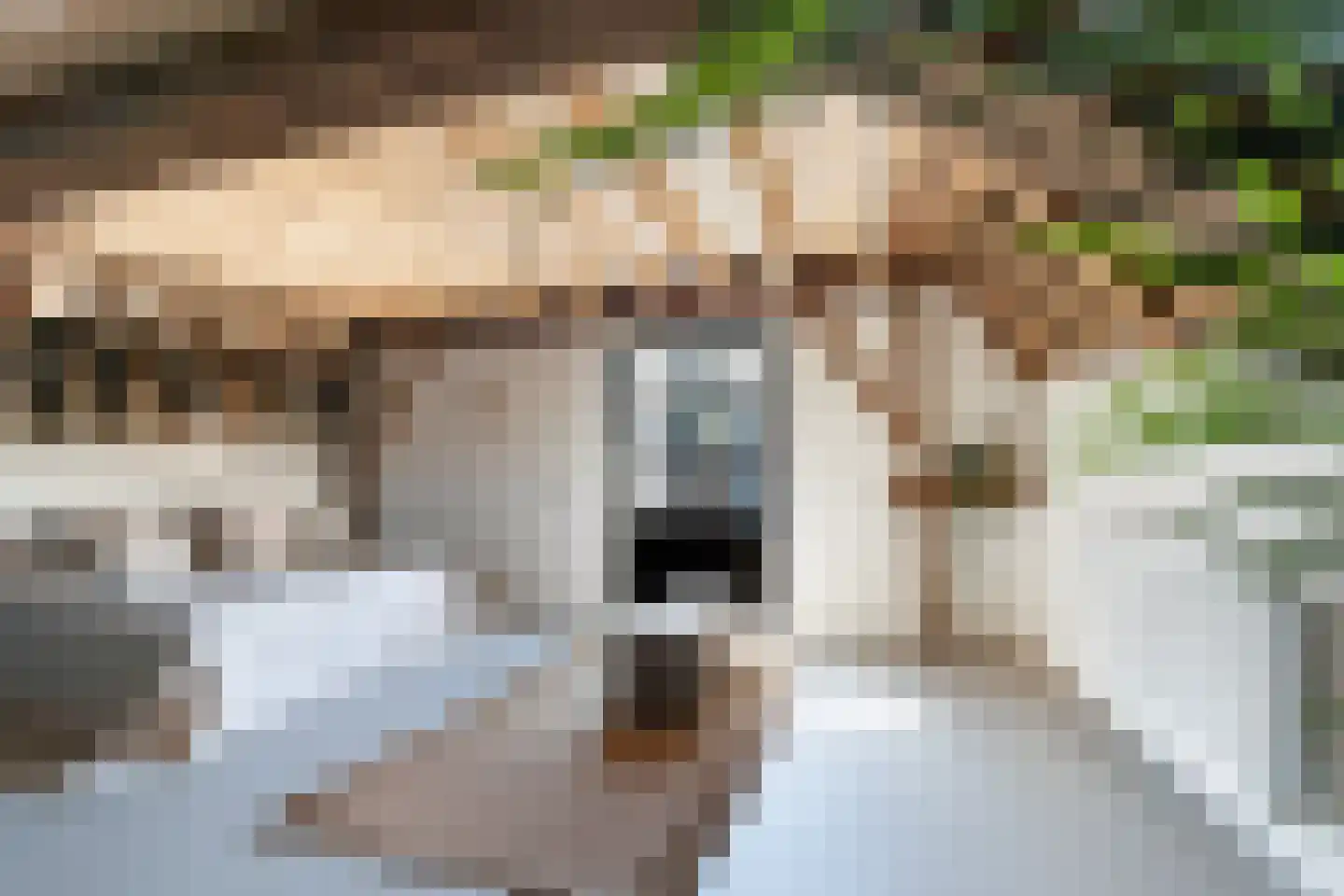 Grote Appelsteiger 2 Dordrecht thumbnail 38
