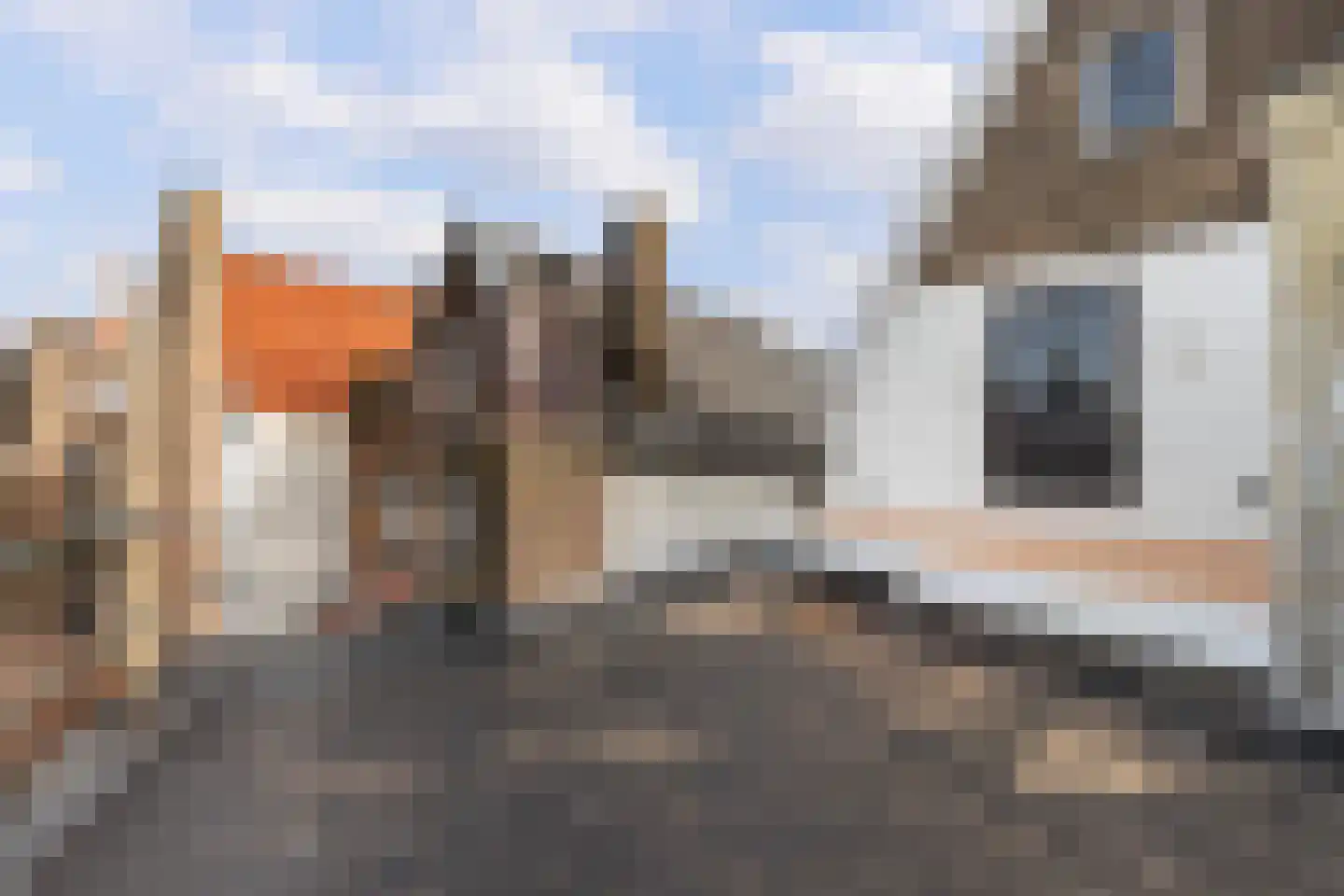 Grote Appelsteiger 2 Dordrecht thumbnail 43