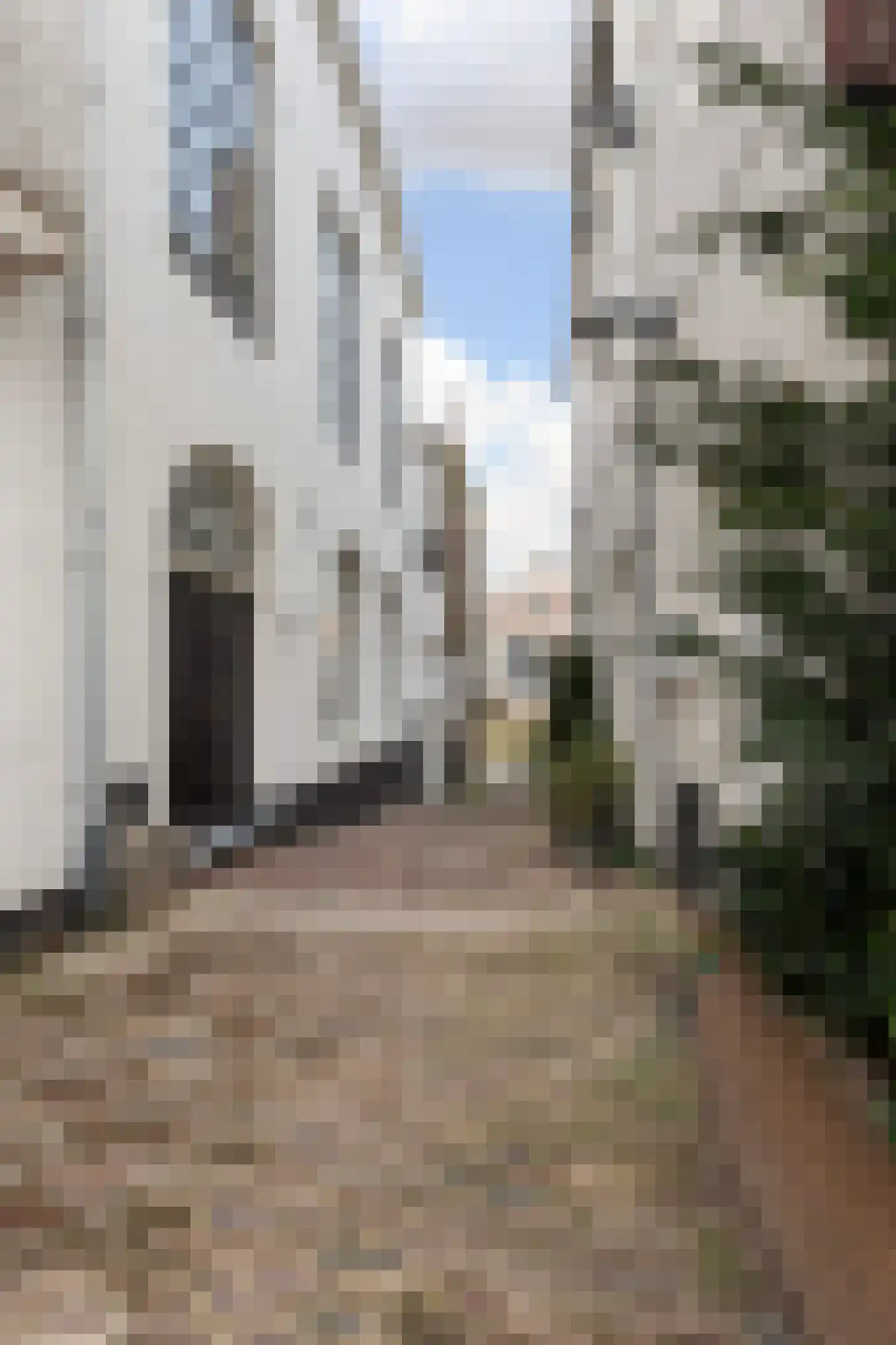 Grote Appelsteiger 2 Dordrecht thumbnail 7
