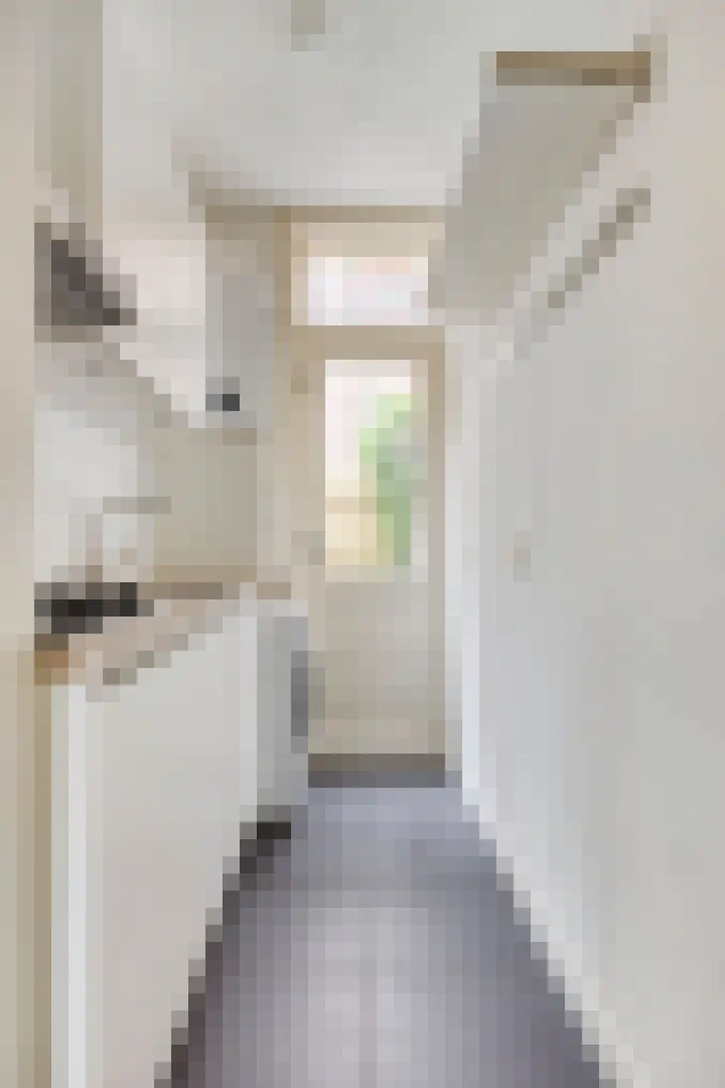 Grote Appelstraat 10 Groningen thumbnail 12