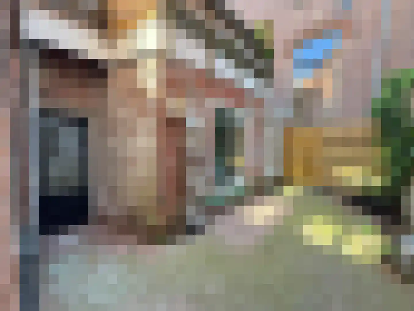 Grote Appelstraat 10 Groningen thumbnail 23