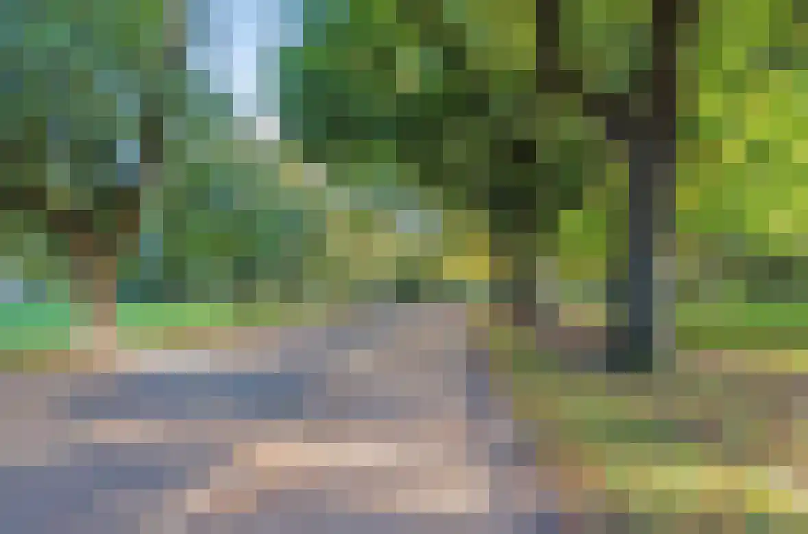 Grote Appelstraat 10 Groningen thumbnail 28