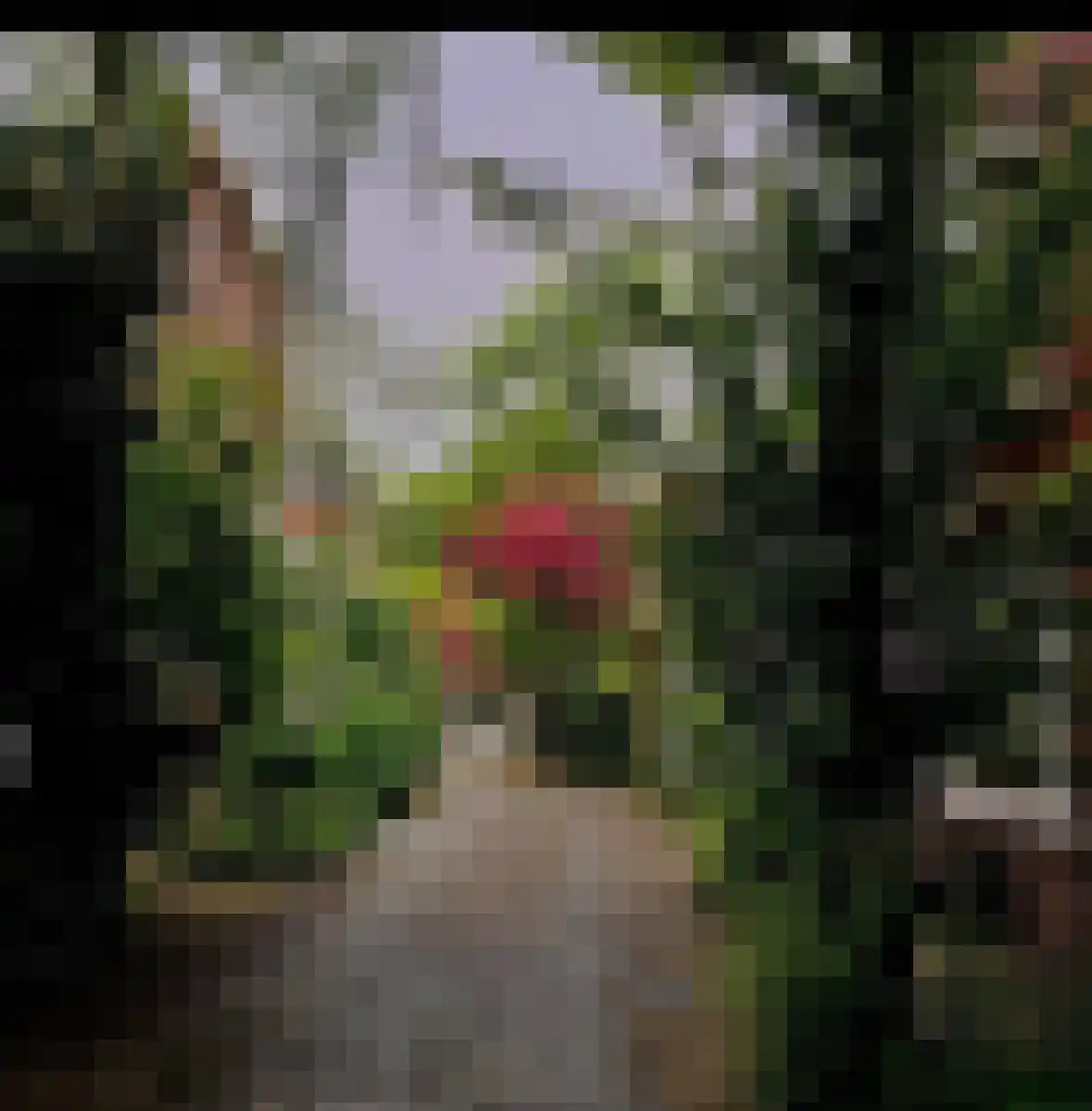 Grote Appelstraat 10 Groningen thumbnail 31