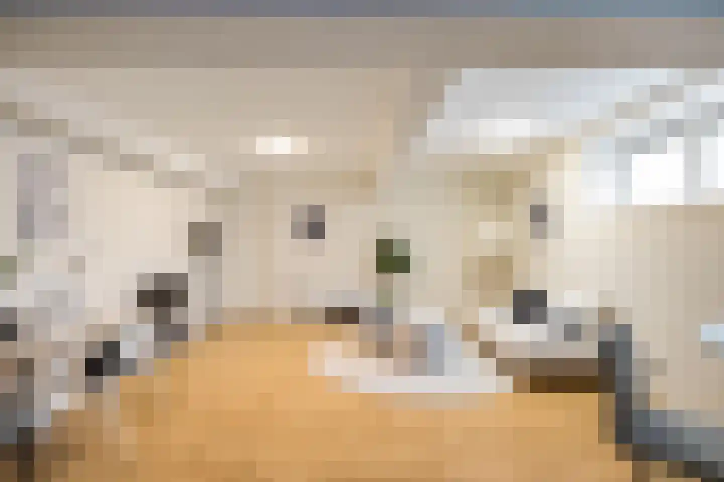 Grote Appelstraat 11 b Groningen thumbnail 10
