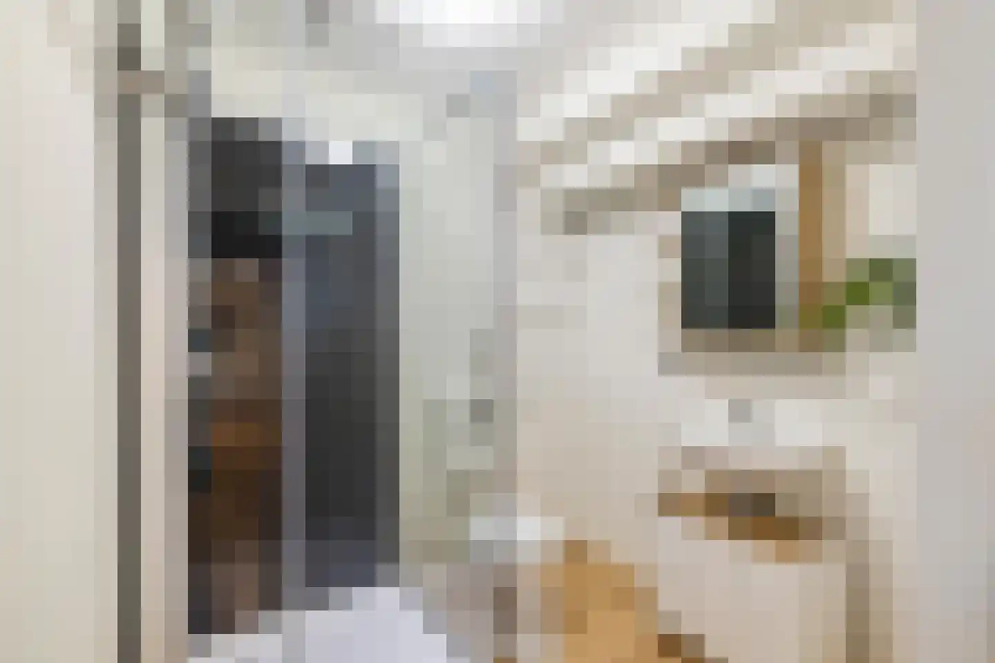 Grote Appelstraat 11 b Groningen thumbnail 7
